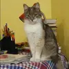 Отзыв от Венера Вишневская